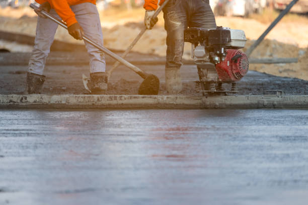 Best Stamped Concrete Services in Crane, TX